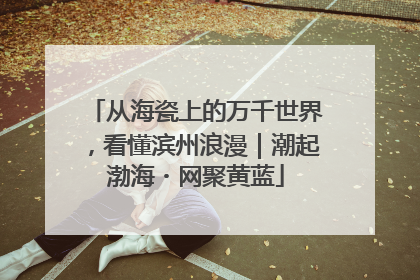 从海瓷上的万千世界，看懂滨州浪漫｜潮起渤海・网聚黄蓝